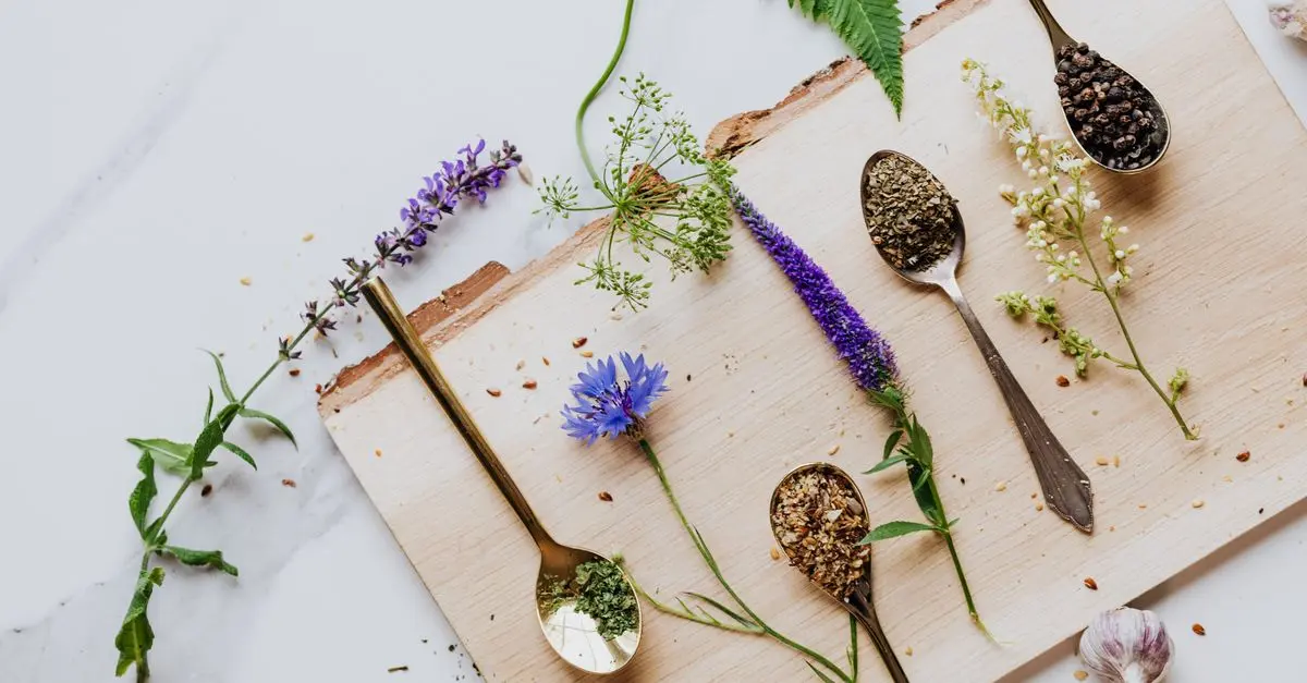 Top 5 des Herbes Aromatiques Corses à Utiliser en Cuisine