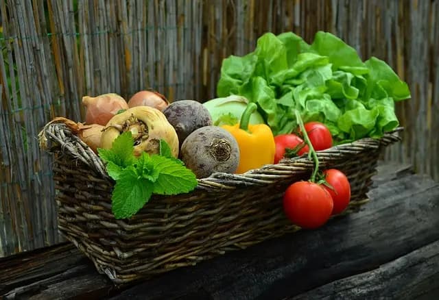 Les Plats Corses aux Légumes : Saveurs et Recettes à Découvrir