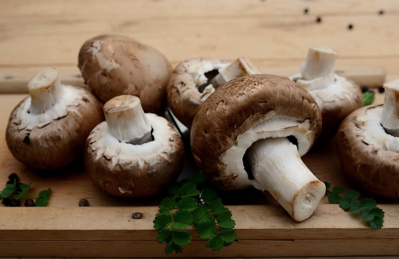 Découverte des Plats Chaleureux de la Cuisine Corse