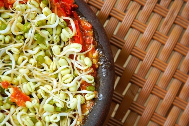 Les Plats Corses à Base de Légumes : Saveurs et Recettes